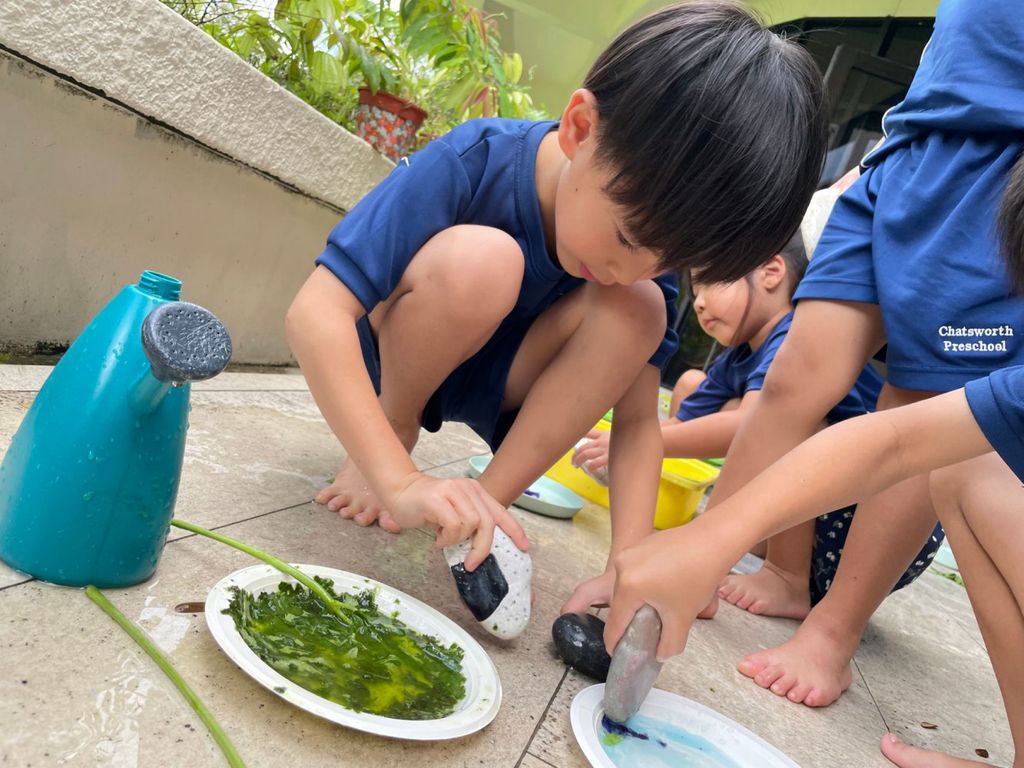 SSDB: From Plants to Pigments — photo 2