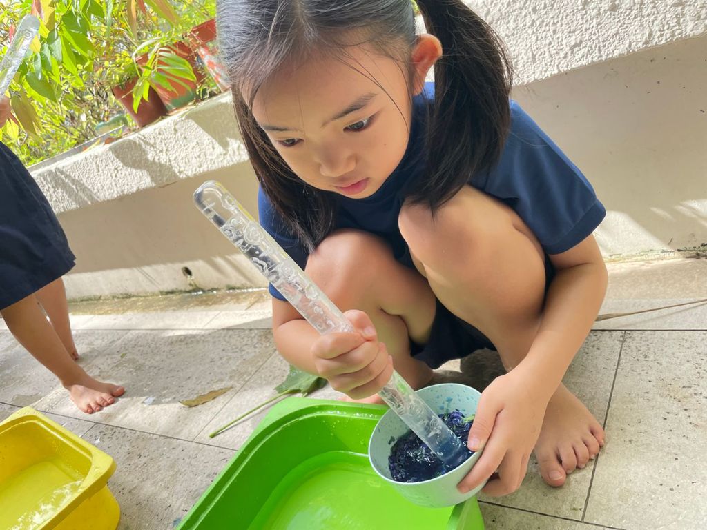 SSDB: From Plants to Pigments — photo 4