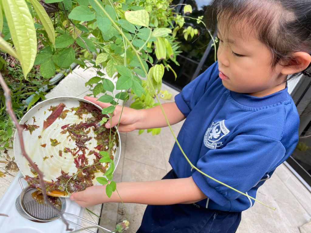 SSDB: From Plants to Pigments — photo 5