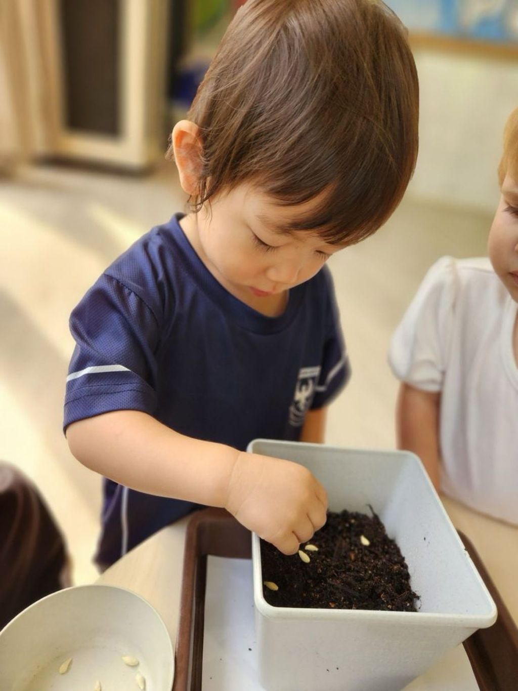SSDB: Understanding The Value of Seeds — photo 2