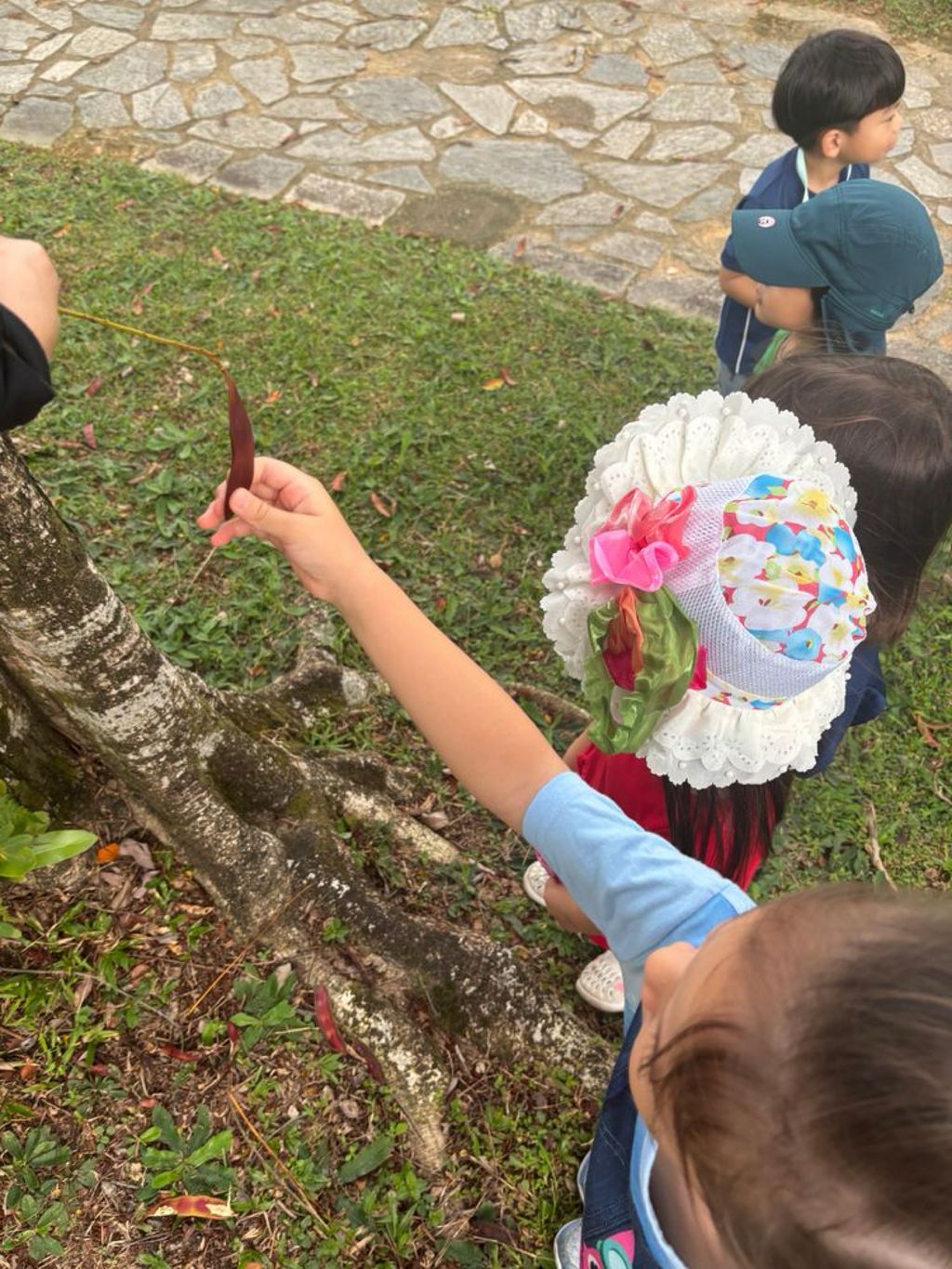 SSDB: Understanding The Value of Seeds — photo 8