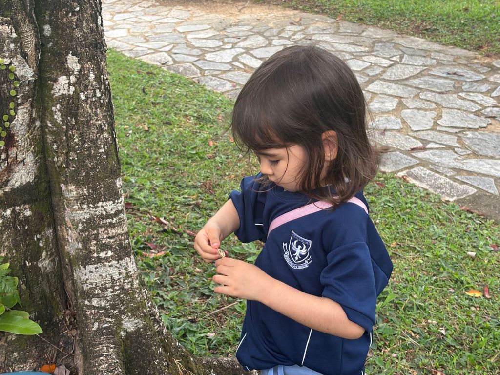 SSDB: Understanding The Value of Seeds — photo 10