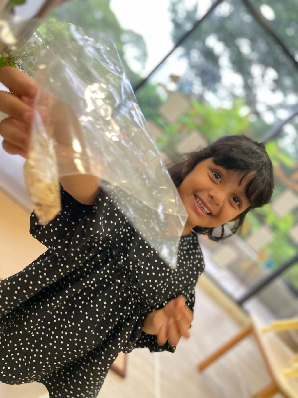 SSDB: Call For Seed Donations — photo 2