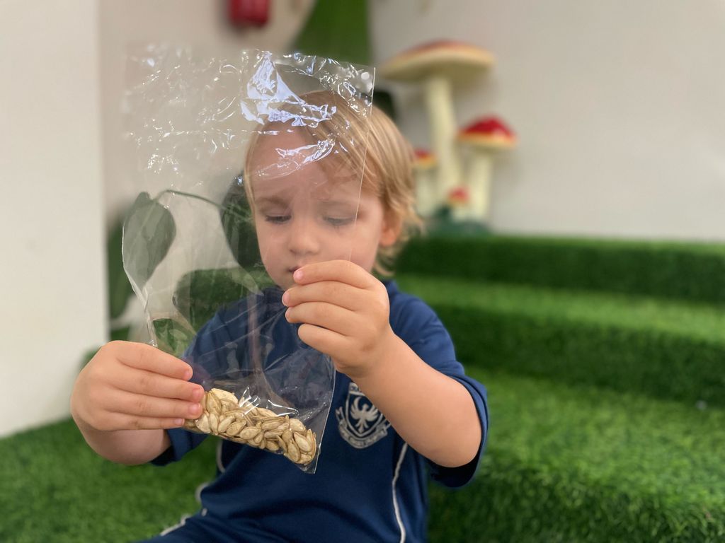 SSDB: Call For Seed Donations — photo 3