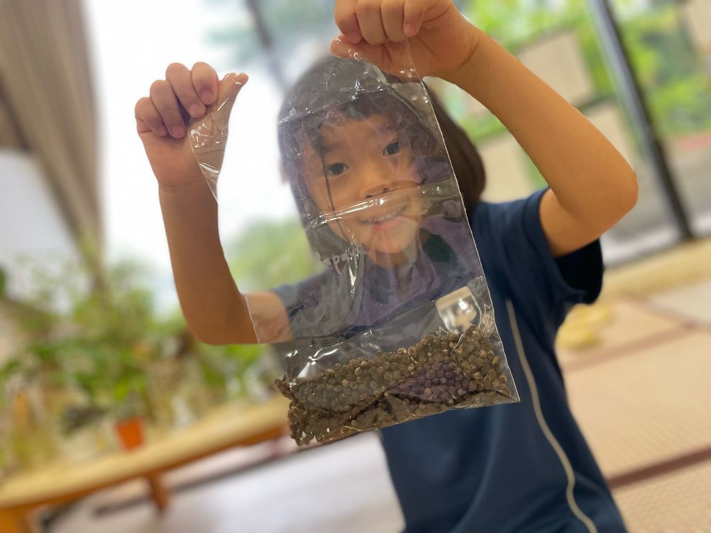 SSDB: Call For Seed Donations — photo 4