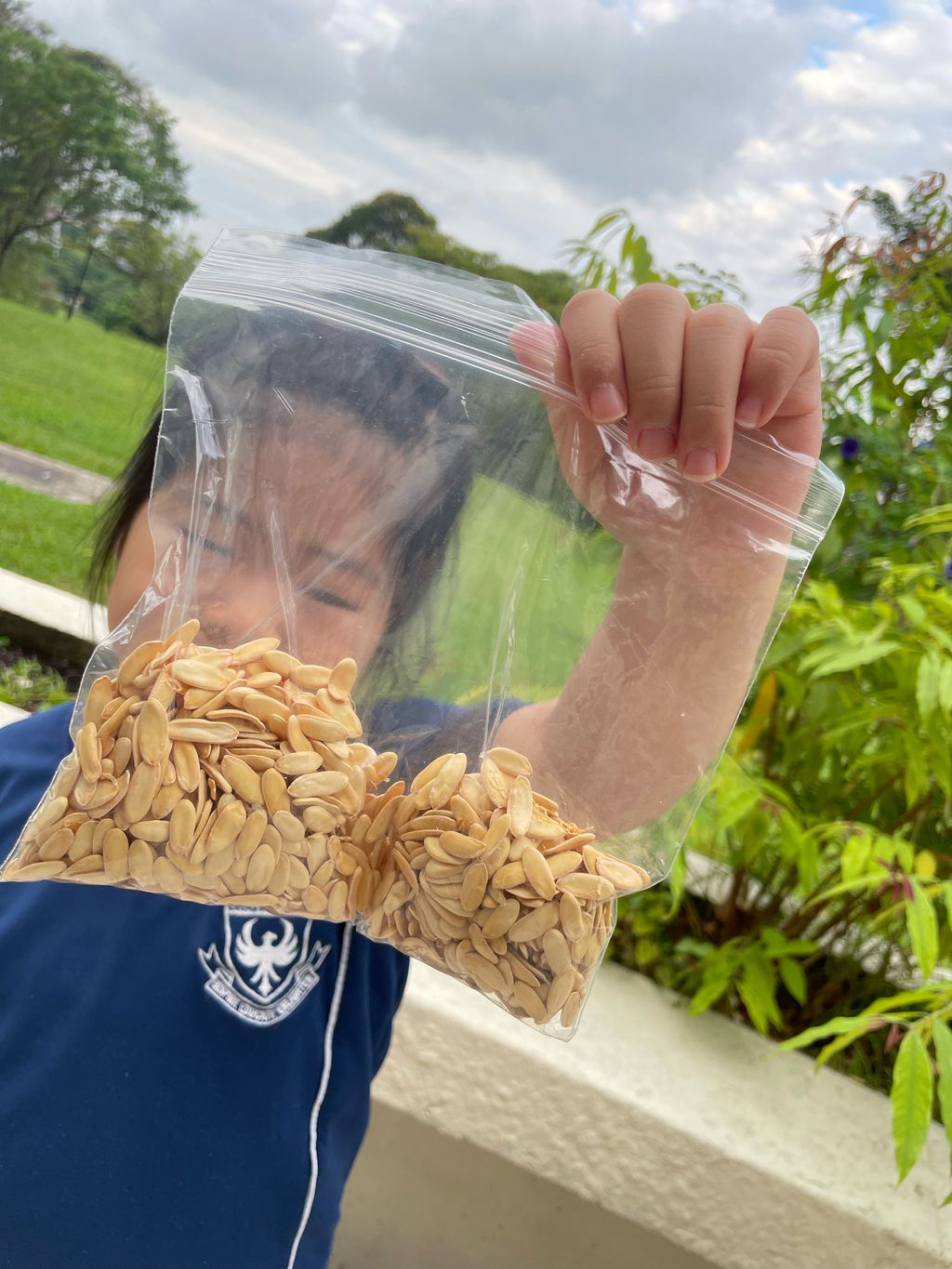 SSDB: Call For Seed Donations — photo 5