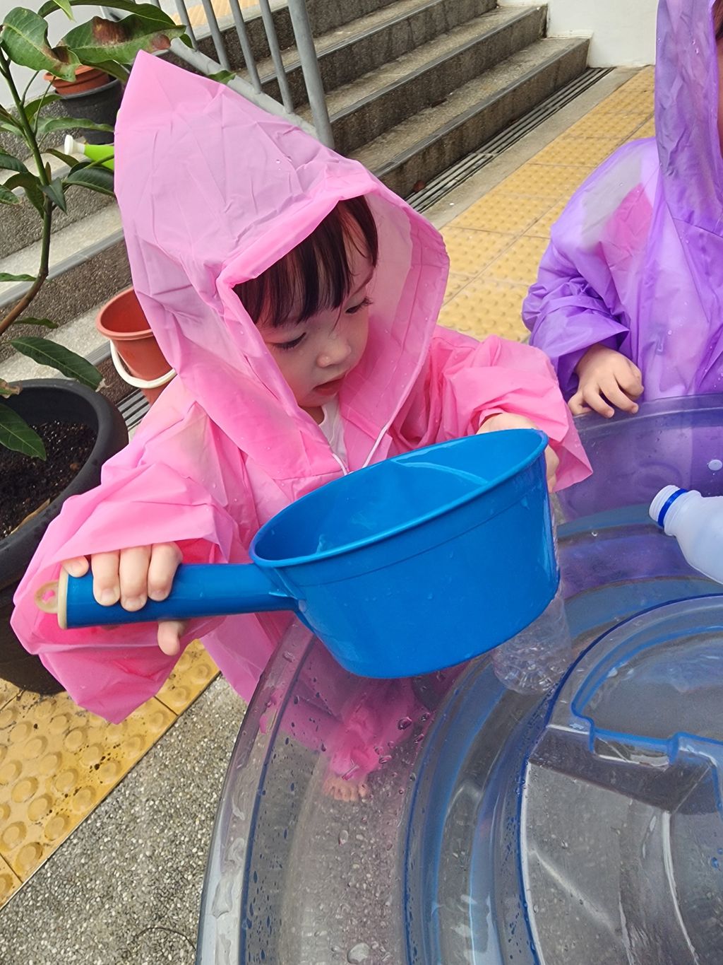 4\. 2 June 2025: Ripple Ranger - Rain Water Collection — photo 29