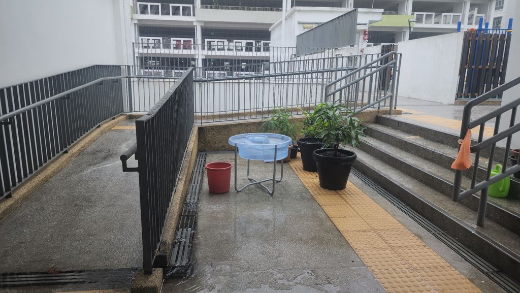 4\. 2 June 2025: Ripple Ranger - Rain Water Collection — photo 30