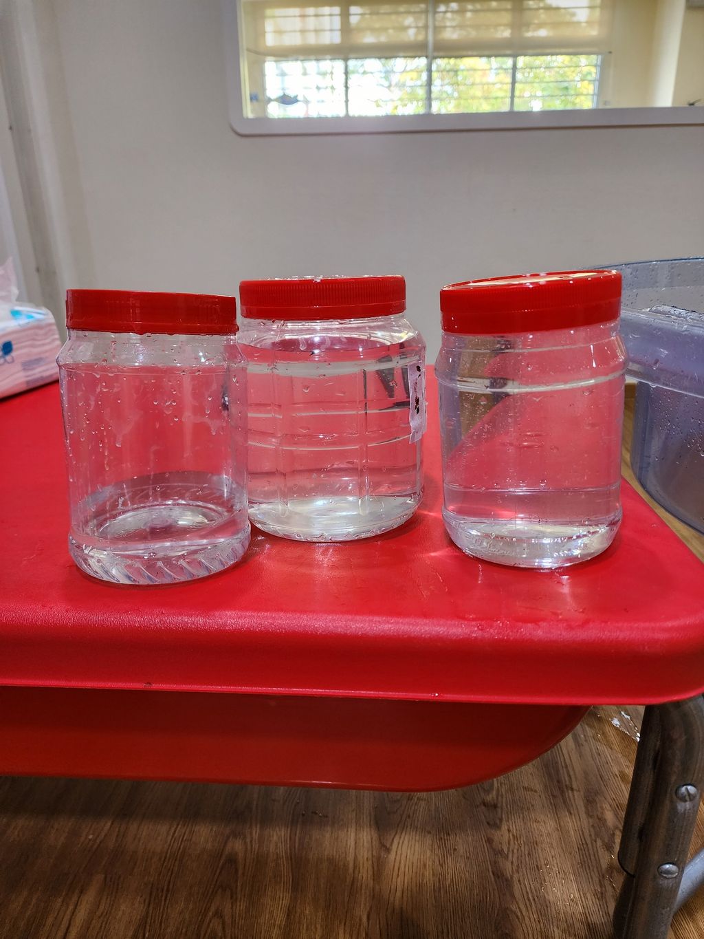 4\. 2 June 2025: Ripple Ranger - Rain Water Collection — photo 31