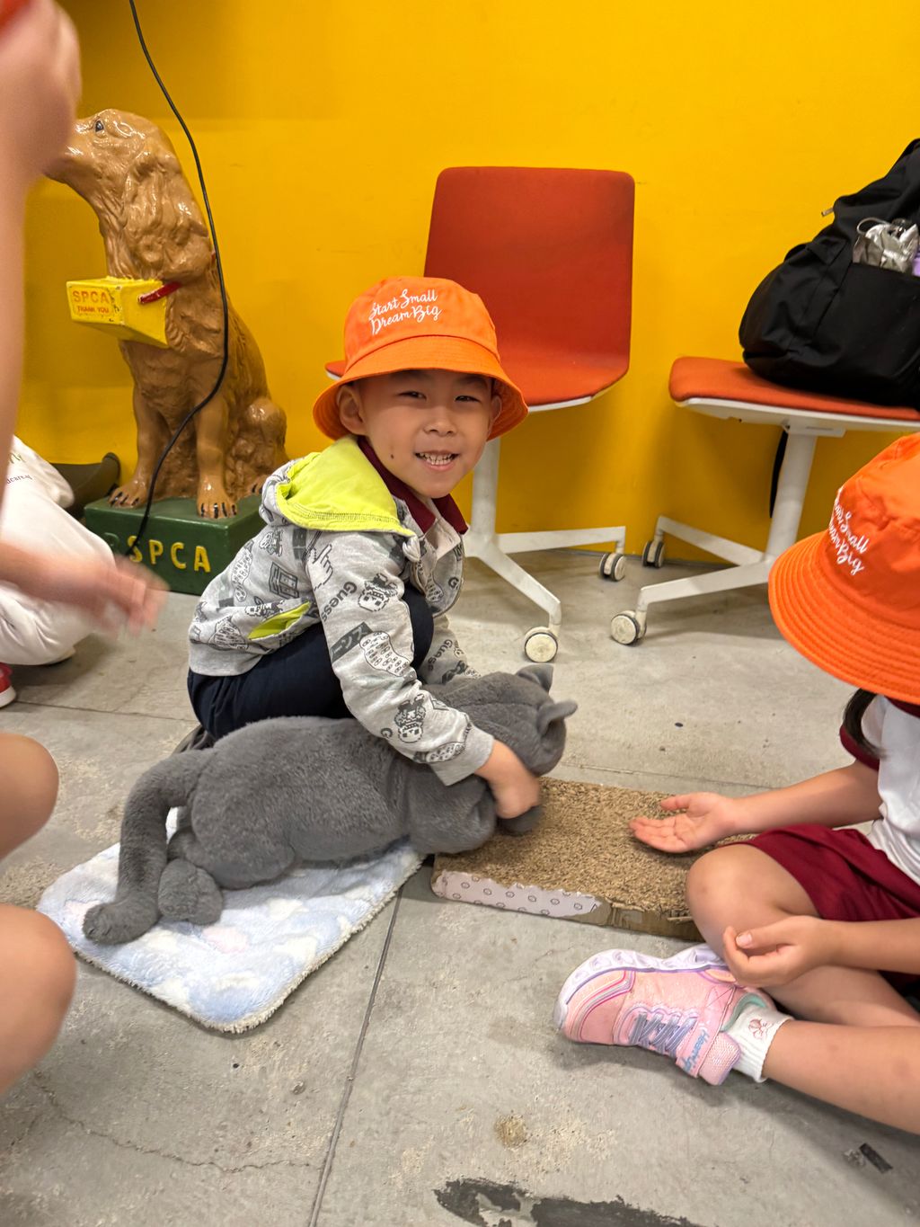 A visit to SPCA — photo 6
