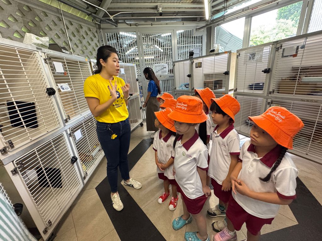 A visit to SPCA — photo 12