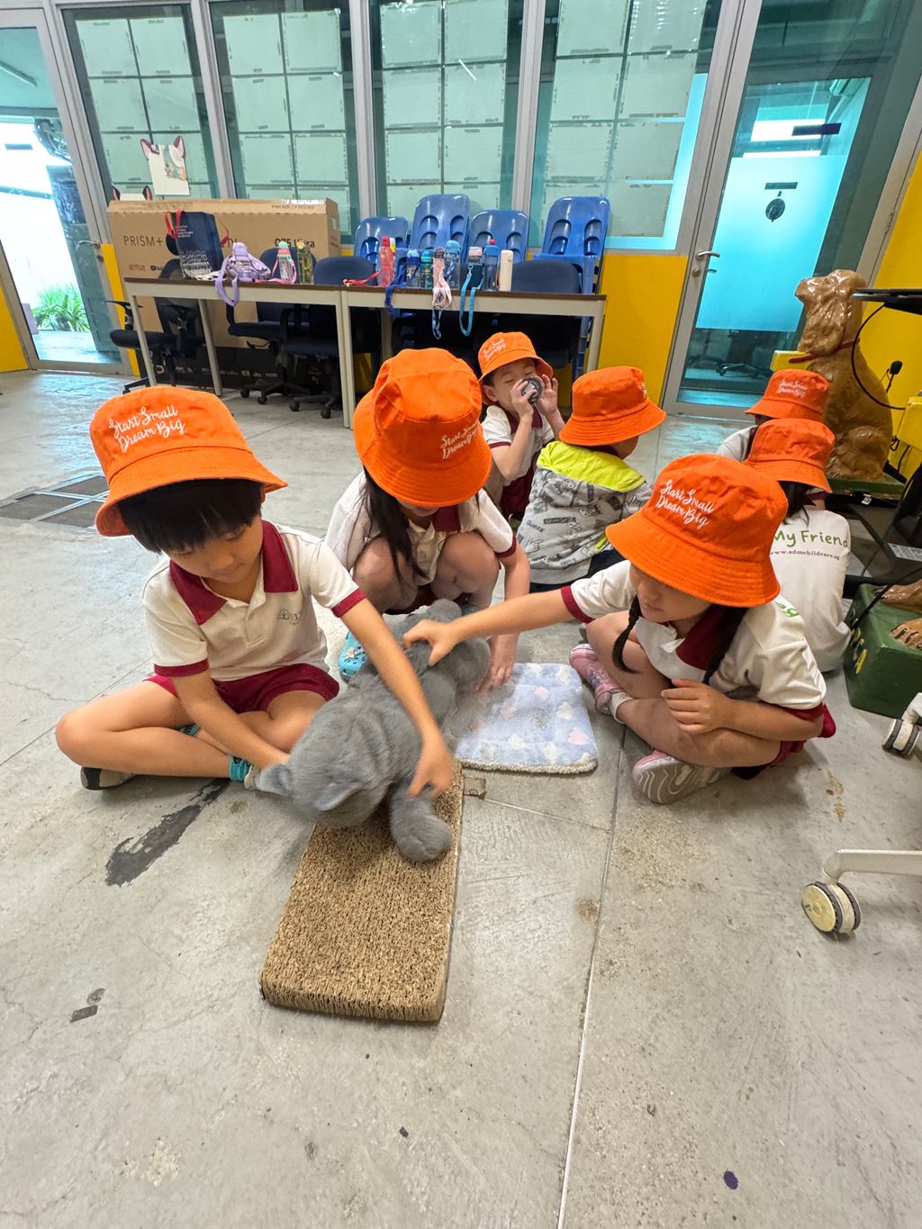 A visit to SPCA — photo 15