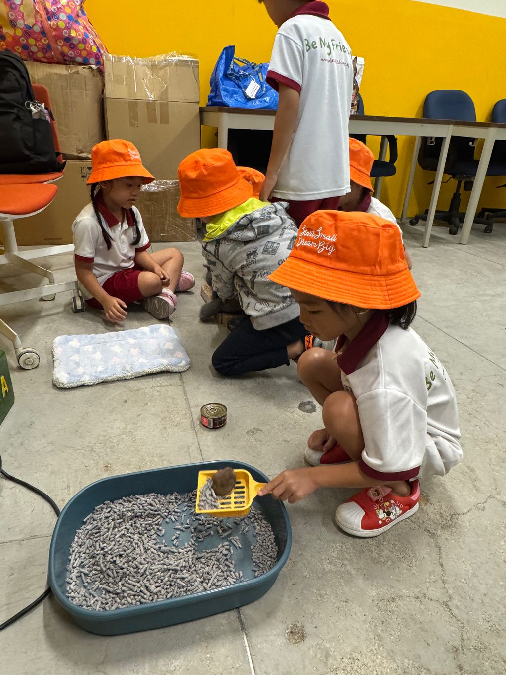 A visit to SPCA — photo 18