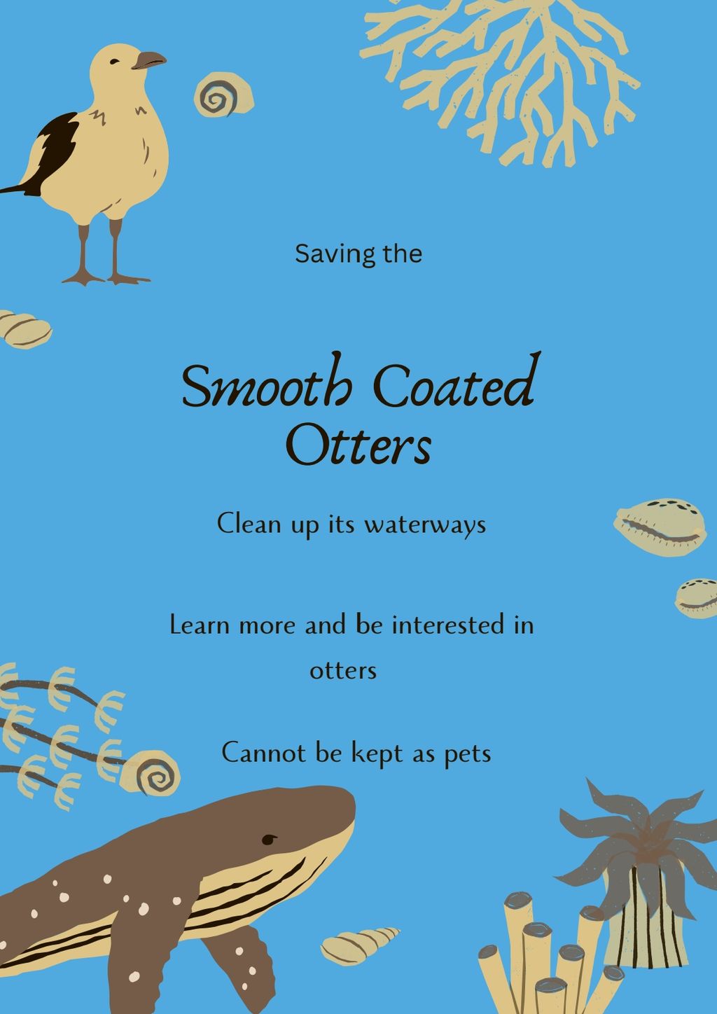 SSBD 2025 - Raising Awareness on Smooth-Coated Otters — photo 5