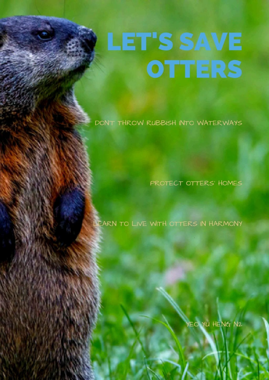 SSBD 2025 - Raising Awareness on Smooth-Coated Otters — photo 18