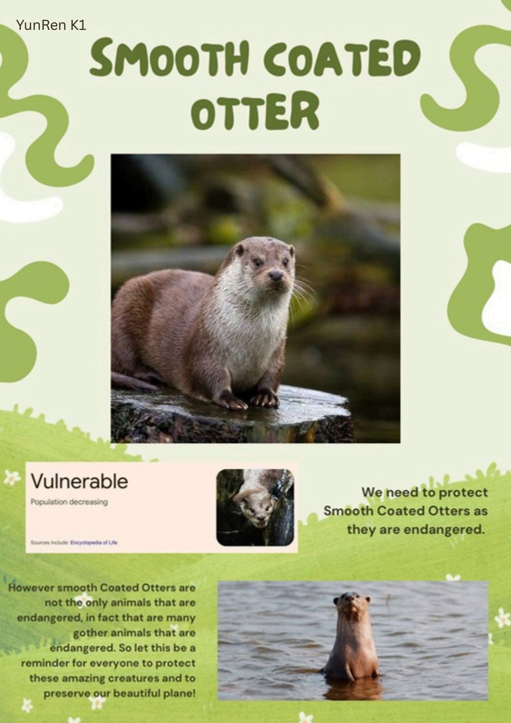 SSBD 2025 - Raising Awareness on Smooth-Coated Otters — photo 22