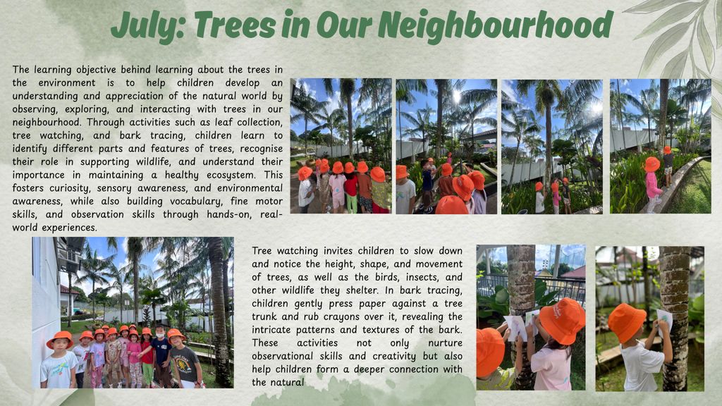Trees in Our Neighbourhood (July 2025) — photo 2
