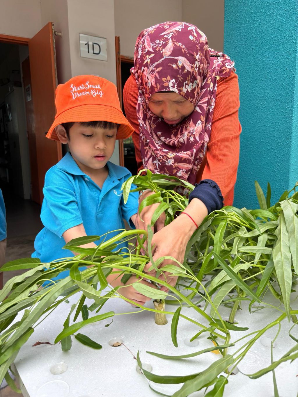 Harvest & Share - Celebrating Healthy Eating! — photo 3
