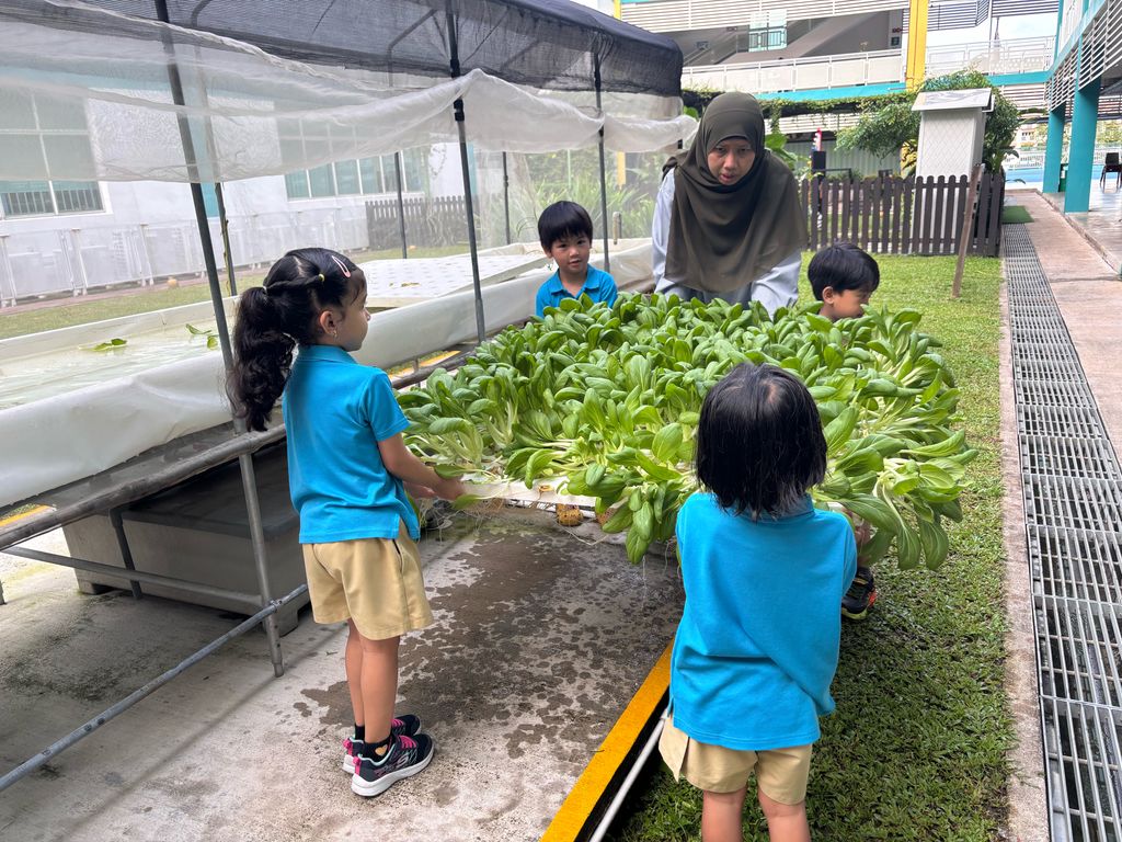 Harvest & Share - Celebrating Healthy Eating! — photo 1
