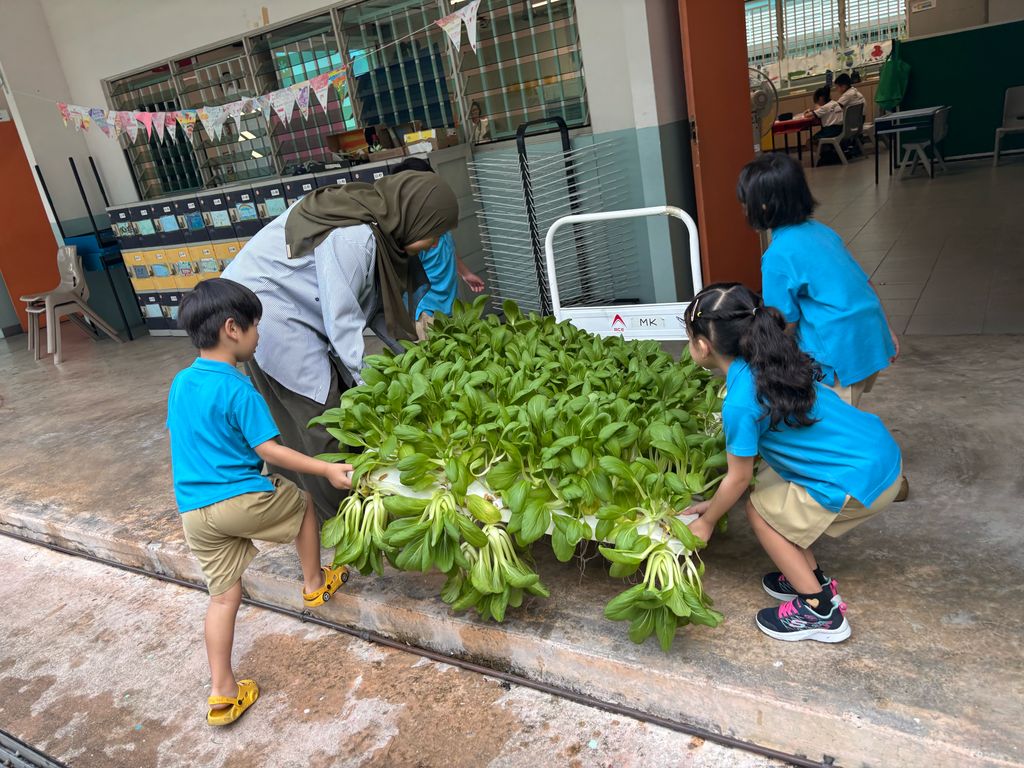 Harvest & Share - Celebrating Healthy Eating! — photo 2