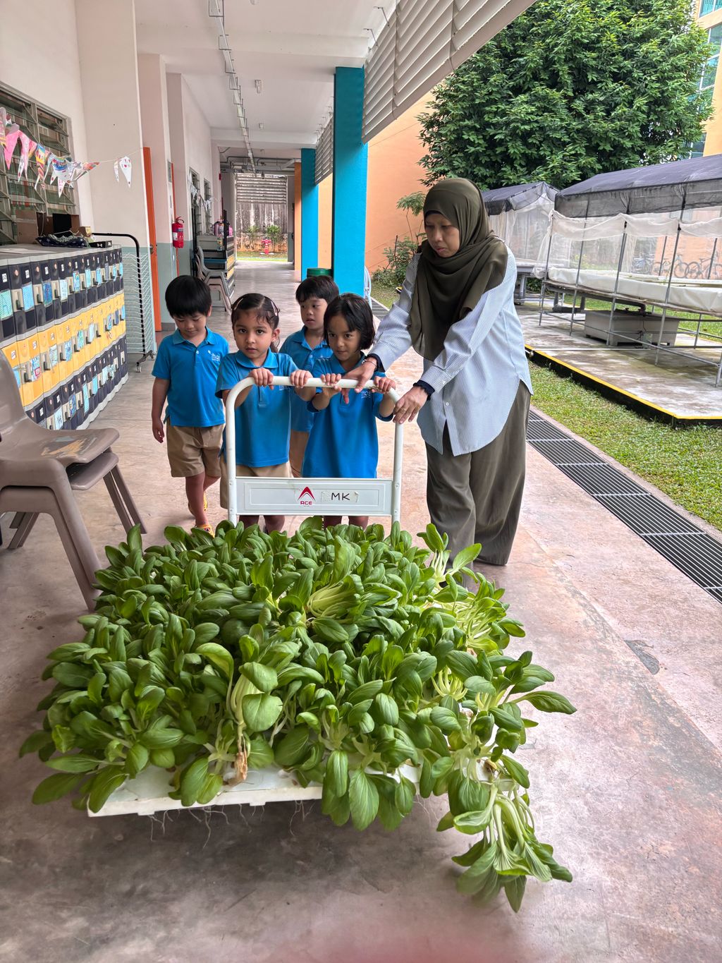 Harvest & Share - Celebrating Healthy Eating! — photo 3