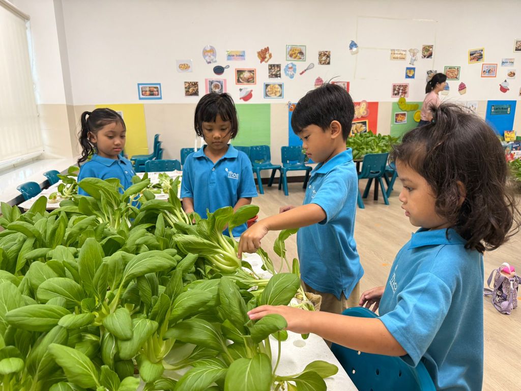 Harvest & Share - Celebrating Healthy Eating! — photo 1