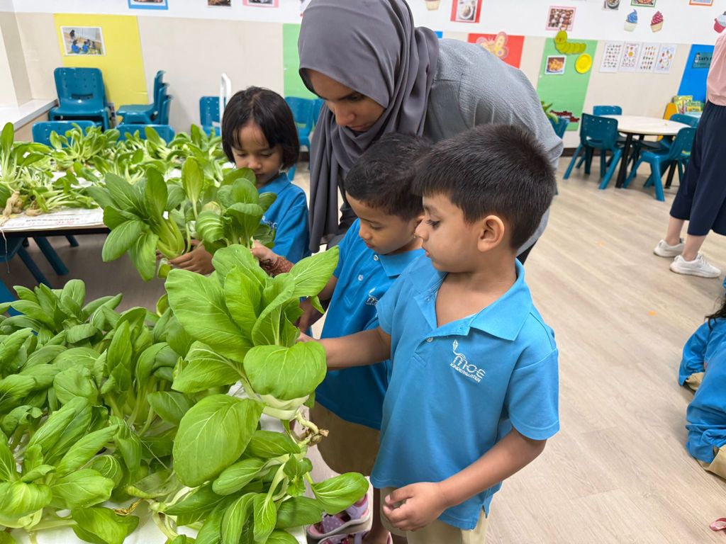 Harvest & Share - Celebrating Healthy Eating! — photo 2