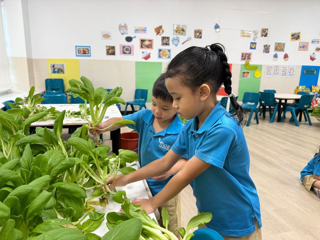 Harvest & Share - Celebrating Healthy Eating! — photo 3