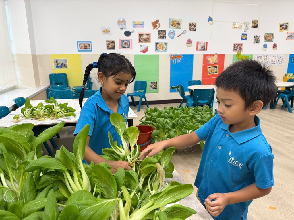 Harvest & Share - Celebrating Healthy Eating! — photo 4