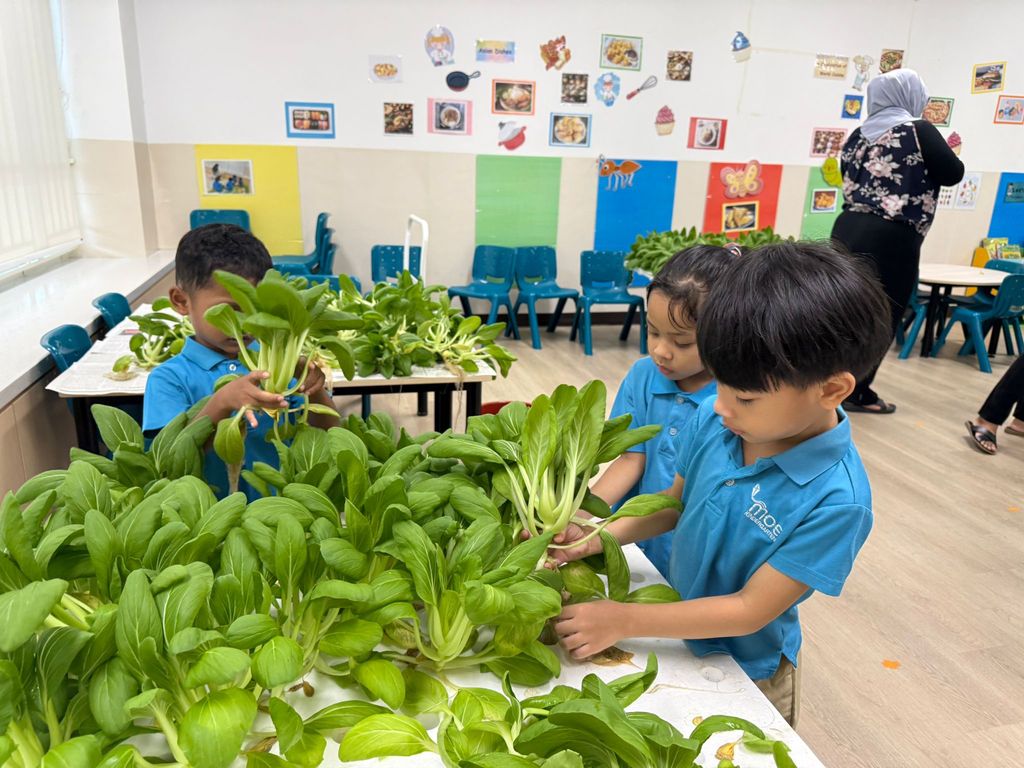 Harvest & Share - Celebrating Healthy Eating! — photo 5