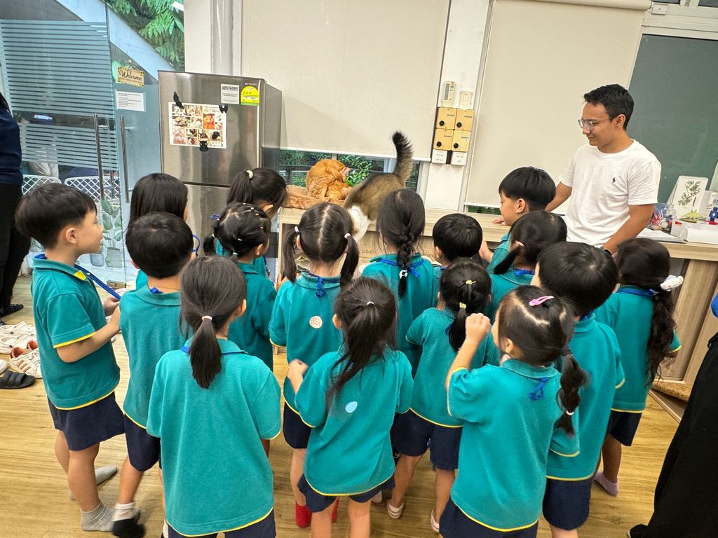 Trip to The Animal Classroom @ Jacob Ballas Childrens' Garden🐱🐰 (Launch Party) — photo 5