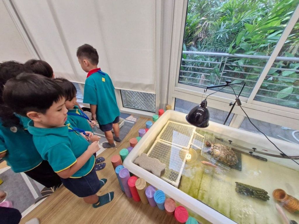 Trip to The Animal Classroom @ Jacob Ballas Childrens' Garden🐱🐰 (Launch Party) — photo 6