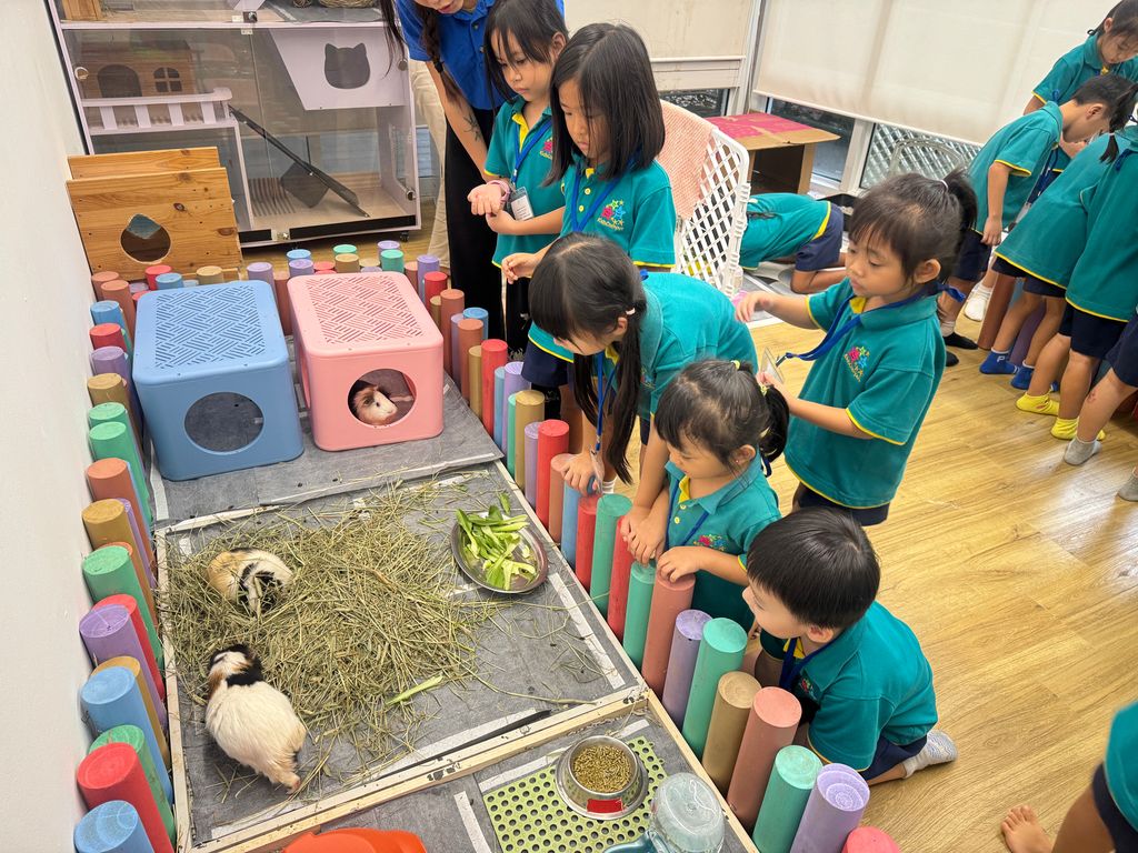 Trip to The Animal Classroom @ Jacob Ballas Childrens' Garden🐱🐰 (Launch Party) — photo 7