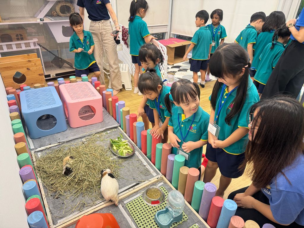 Trip to The Animal Classroom @ Jacob Ballas Childrens' Garden🐱🐰 (Launch Party) — photo 8