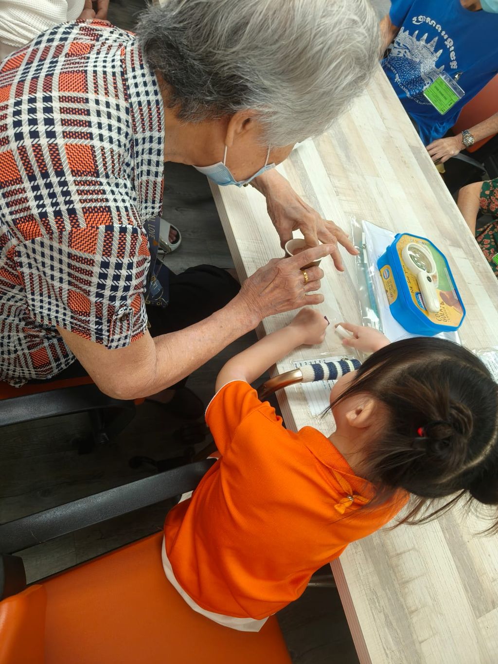 Caring for the Elderly