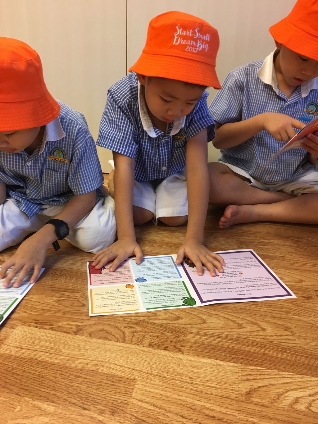 The Pledge — photo 7
