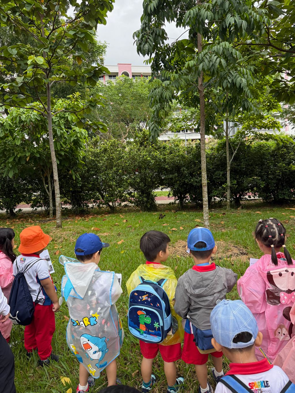 Field Trip to Punggol Park - PCF Sparkletots Preschool @ Jalan Kayu Block 970 (DS) — photo 2