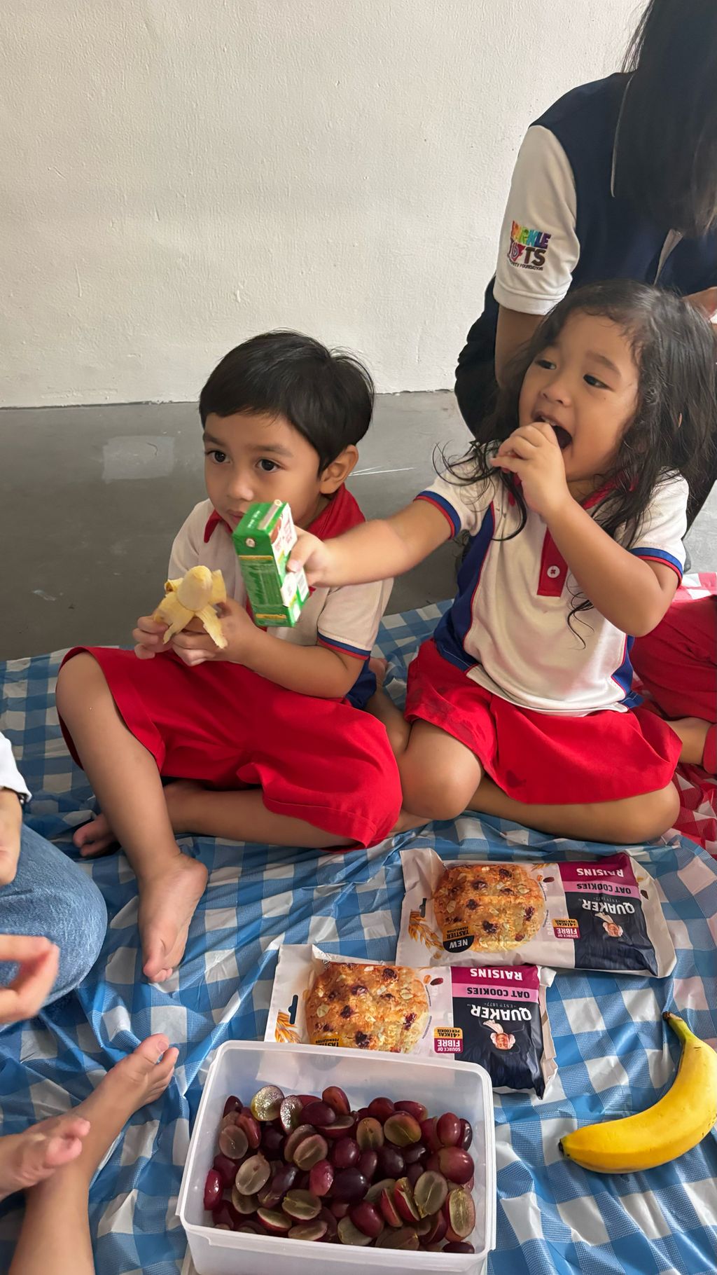 Caring for our friends: Class Picnic with healthy snacks