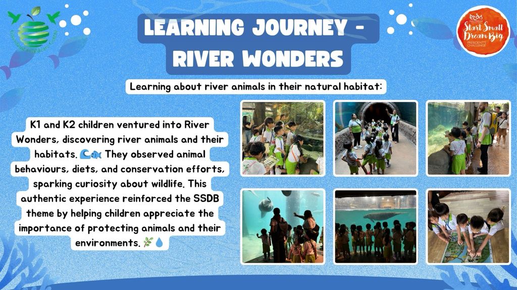 Tiny Hands Big Splash: Learning Journey to River Wonders
