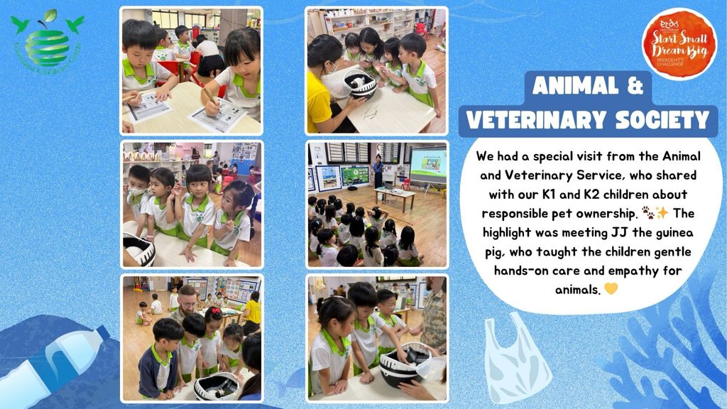 Tiny Hands, Big Splash: Collaboration with Animal and Veterniary Service