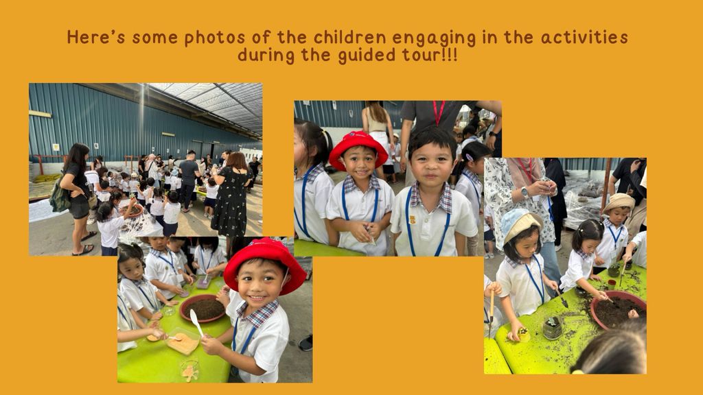 N2A/B Start Small Dream Big (SSDB). Caring Hands, Greener Lands — photo 6