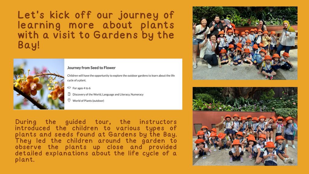 N2A/B Start Small Dream Big (SSDB). Caring Hands, Greener Lands — photo 7