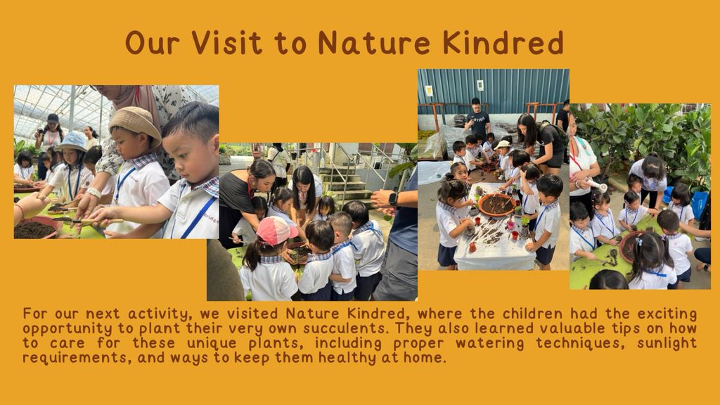 N2A/B Start Small Dream Big (SSDB). Caring Hands, Greener Lands — photo 9