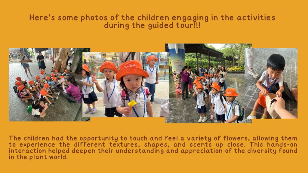 N2A/B Start Small Dream Big (SSDB). Caring Hands, Greener Lands — photo 10