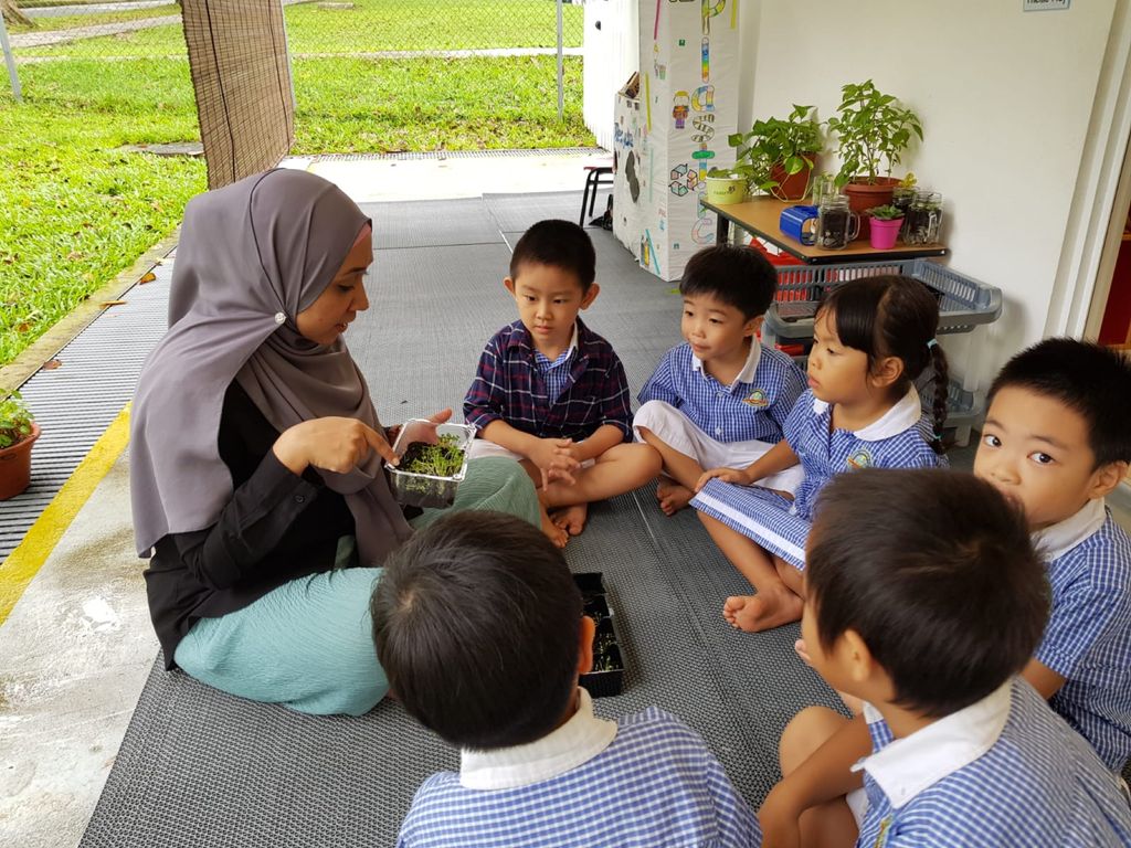 Nurturing Our love for Nature