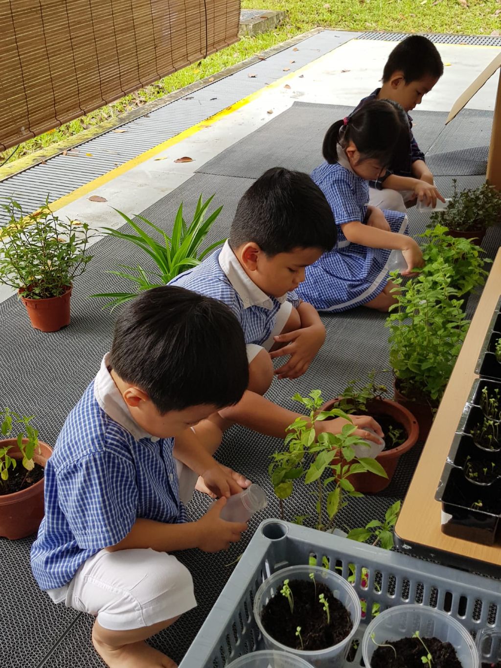 Nurturing Our love for Nature — photo 2