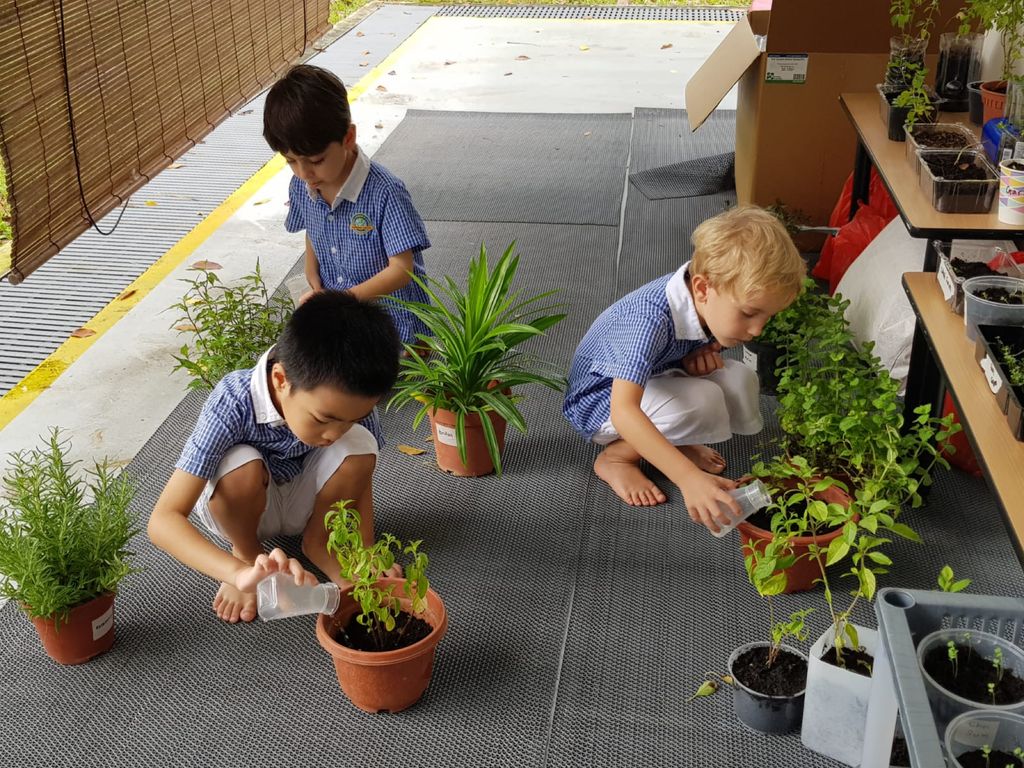 Nurturing Our love for Nature — photo 3