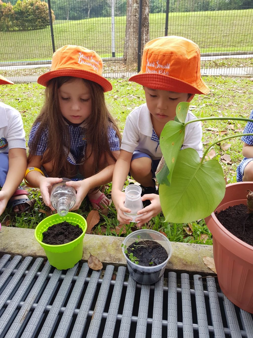Nurturing Our love for Nature — photo 6