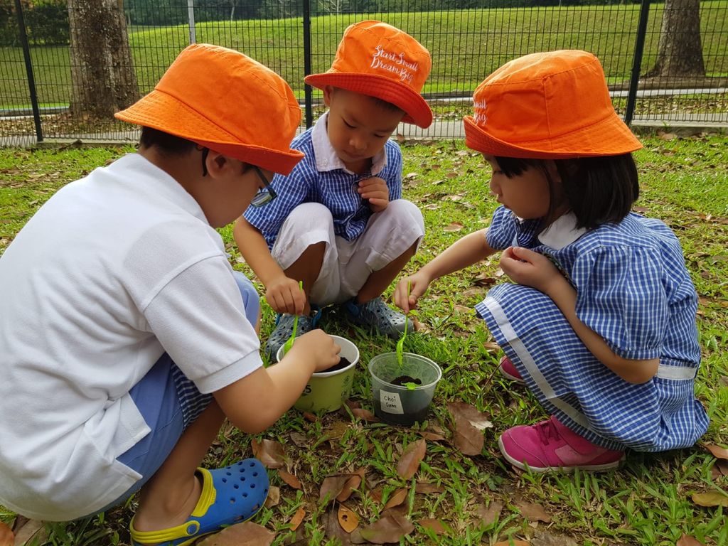 Nurturing Our love for Nature — photo 1