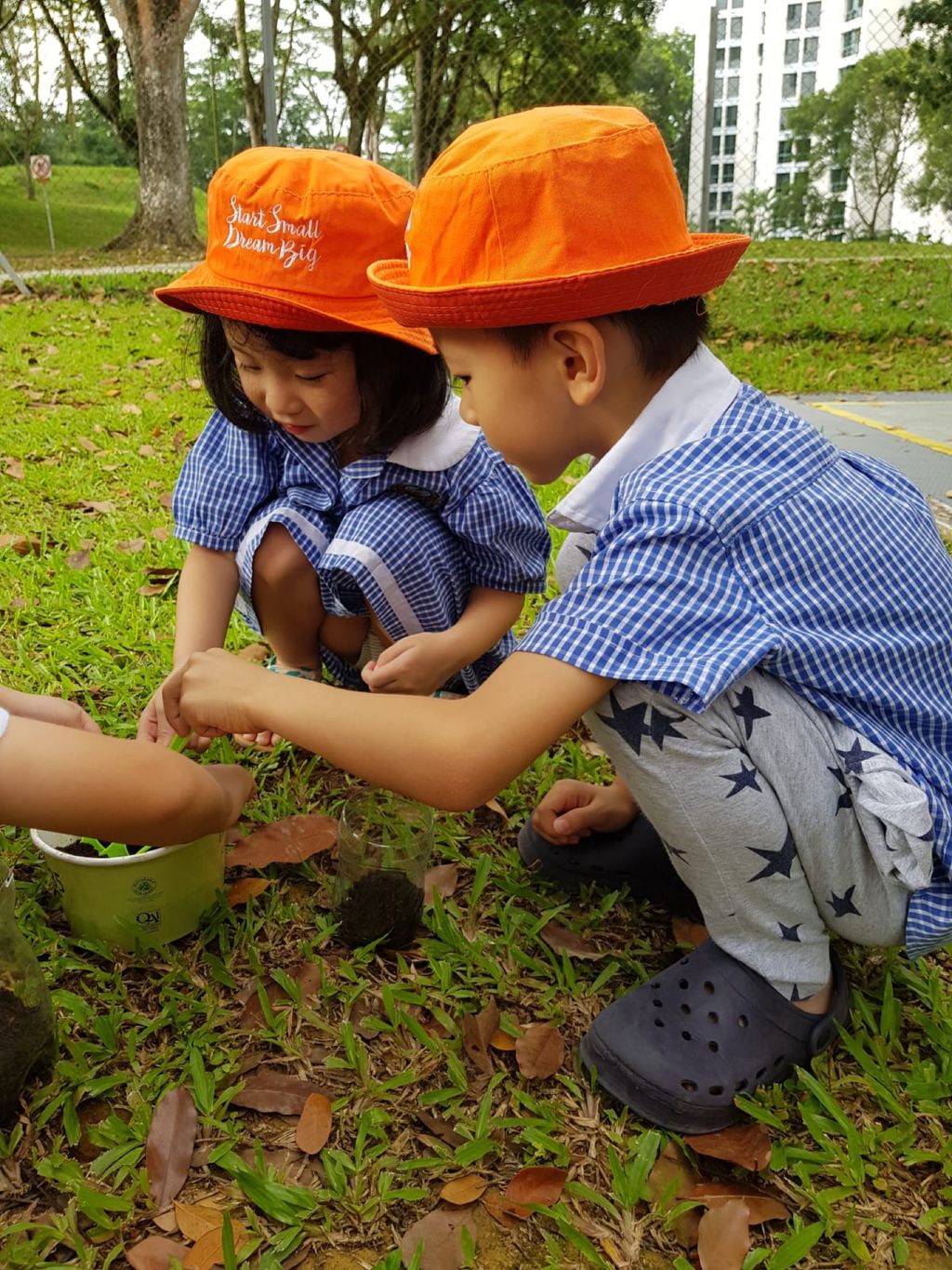 Nurturing Our love for Nature — photo 3